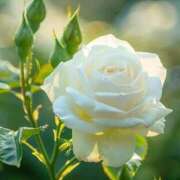 ヒメ日記 2025/10/29 11:45 投稿 ツムギ★大人可愛い愛人系 BITEKI