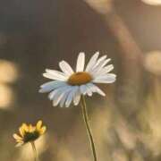 ヒメ日記 2025/10/30 18:02 投稿 ツムギ★大人可愛い愛人系 BITEKI