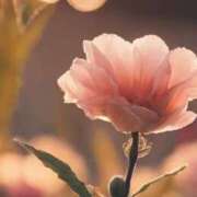 ヒメ日記 2025/11/07 15:05 投稿 ツムギ★大人可愛い愛人系 BITEKI