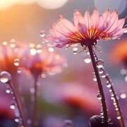 ヒメ日記 2025/11/15 16:41 投稿 ツムギ★大人可愛い愛人系 BITEKI