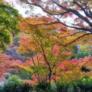 ヒメ日記 2025/11/23 21:50 投稿 ツムギ★大人可愛い愛人系 BITEKI