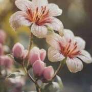 ヒメ日記 2025/11/28 13:15 投稿 ツムギ★大人可愛い愛人系 BITEKI