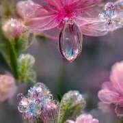 ヒメ日記 2025/11/30 10:45 投稿 ツムギ★大人可愛い愛人系 BITEKI