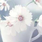 ツムギ★大人可愛い愛人系 ツムギ♡ BITEKI