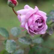 ツムギ★大人可愛い愛人系 ツムギ♡ BITEKI