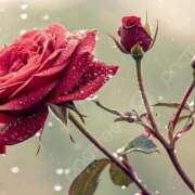 ツムギ★大人可愛い愛人系 ツムギ♡ BITEKI