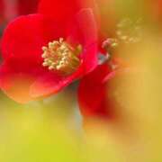 ヒメ日記 2025/12/22 11:15 投稿 ツムギ★大人可愛い愛人系 BITEKI