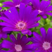 ヒメ日記 2025/12/27 12:57 投稿 ツムギ★大人可愛い愛人系 BITEKI