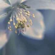 ヒメ日記 2025/12/28 11:45 投稿 ツムギ★大人可愛い愛人系 BITEKI