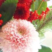 ヒメ日記 2026/01/01 16:34 投稿 ツムギ★大人可愛い愛人系 BITEKI