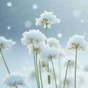 ヒメ日記 2026/01/02 11:44 投稿 ツムギ★大人可愛い愛人系 BITEKI