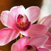 ヒメ日記 2026/01/04 11:15 投稿 ツムギ★大人可愛い愛人系 BITEKI