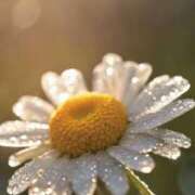 ヒメ日記 2026/01/06 12:45 投稿 ツムギ★大人可愛い愛人系 BITEKI