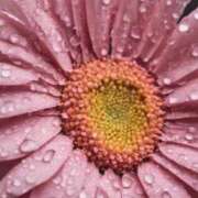 ヒメ日記 2026/01/07 11:45 投稿 ツムギ★大人可愛い愛人系 BITEKI