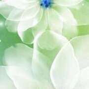 ヒメ日記 2026/01/08 11:45 投稿 ツムギ★大人可愛い愛人系 BITEKI