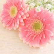 ヒメ日記 2026/01/12 11:15 投稿 ツムギ★大人可愛い愛人系 BITEKI