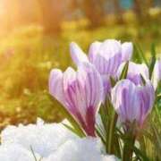 ヒメ日記 2026/01/14 12:24 投稿 ツムギ★大人可愛い愛人系 BITEKI