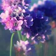 ヒメ日記 2026/01/18 08:45 投稿 ツムギ★大人可愛い愛人系 BITEKI