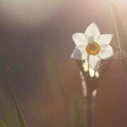 ヒメ日記 2026/01/19 14:24 投稿 ツムギ★大人可愛い愛人系 BITEKI