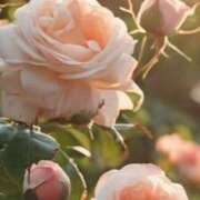 ヒメ日記 2026/01/20 10:50 投稿 ツムギ★大人可愛い愛人系 BITEKI