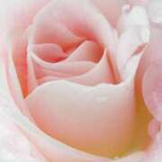 ヒメ日記 2026/01/23 11:15 投稿 ツムギ★大人可愛い愛人系 BITEKI