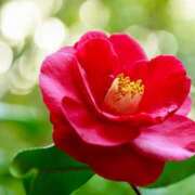 ヒメ日記 2026/01/29 11:15 投稿 ツムギ★大人可愛い愛人系 BITEKI