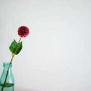 ヒメ日記 2026/02/03 11:15 投稿 ツムギ★大人可愛い愛人系 BITEKI