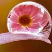 ヒメ日記 2026/02/04 11:15 投稿 ツムギ★大人可愛い愛人系 BITEKI