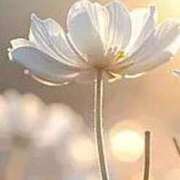 ヒメ日記 2026/02/11 11:15 投稿 ツムギ★大人可愛い愛人系 BITEKI