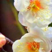 ヒメ日記 2026/02/17 14:28 投稿 ツムギ★大人可愛い愛人系 BITEKI