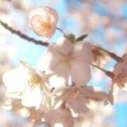 ヒメ日記 2026/02/19 14:17 投稿 ツムギ★大人可愛い愛人系 BITEKI