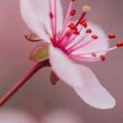 ヒメ日記 2026/02/26 09:31 投稿 ツムギ★大人可愛い愛人系 BITEKI