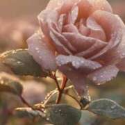 ヒメ日記 2026/02/27 11:15 投稿 ツムギ★大人可愛い愛人系 BITEKI