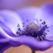 ヒメ日記 2026/02/28 10:45 投稿 ツムギ★大人可愛い愛人系 BITEKI