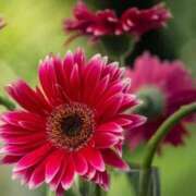 ヒメ日記 2026/03/02 09:29 投稿 ツムギ★大人可愛い愛人系 BITEKI