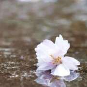 ヒメ日記 2026/03/02 15:44 投稿 ツムギ★大人可愛い愛人系 BITEKI