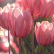 ヒメ日記 2026/03/05 15:28 投稿 ツムギ★大人可愛い愛人系 BITEKI