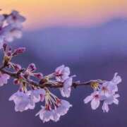 ヒメ日記 2026/03/07 10:45 投稿 ツムギ★大人可愛い愛人系 BITEKI