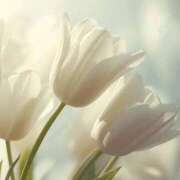 ヒメ日記 2026/03/11 10:38 投稿 ツムギ★大人可愛い愛人系 BITEKI