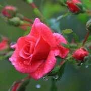 ヒメ日記 2026/03/19 11:15 投稿 ツムギ★大人可愛い愛人系 BITEKI