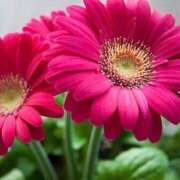 ヒメ日記 2026/03/21 15:44 投稿 ツムギ★大人可愛い愛人系 BITEKI