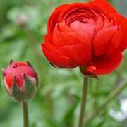 ヒメ日記 2026/03/24 08:45 投稿 ツムギ★大人可愛い愛人系 BITEKI