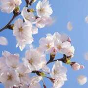 ヒメ日記 2026/03/28 09:11 投稿 ツムギ★大人可愛い愛人系 BITEKI