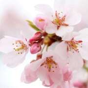 ヒメ日記 2026/03/28 17:15 投稿 ツムギ★大人可愛い愛人系 BITEKI