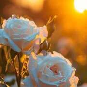 ヒメ日記 2026/04/08 18:05 投稿 ツムギ★大人可愛い愛人系 BITEKI