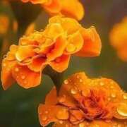 ヒメ日記 2026/04/14 11:01 投稿 ツムギ★大人可愛い愛人系 BITEKI