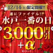 ヒメ日記 2024/12/13 19:26 投稿 ゆま 水戸人妻花壇