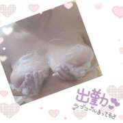 ヒメ日記 2024/12/15 11:32 投稿 ゆま 水戸人妻花壇