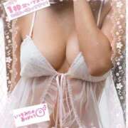 ヒメ日記 2024/12/15 17:13 投稿 ゆま 水戸人妻花壇