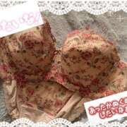 ヒメ日記 2025/01/12 06:22 投稿 ゆま 水戸人妻花壇